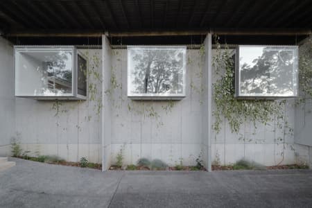 Window, Window, Window
